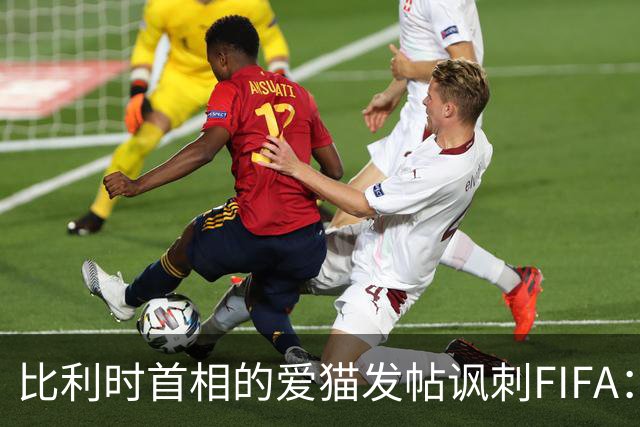 比利时首相的爱猫发帖讽刺FIFA：“红牌？”我照样继续踢！